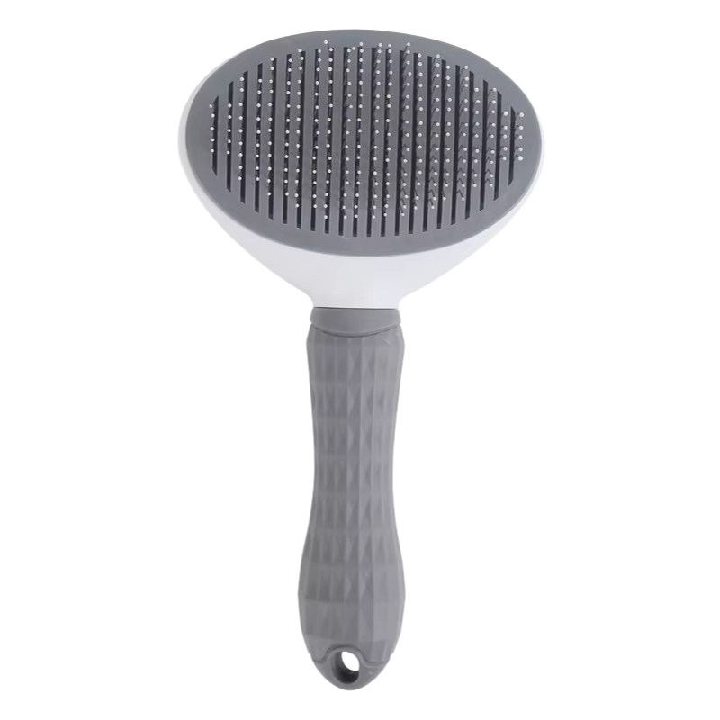 1 Brosse autonettoyante