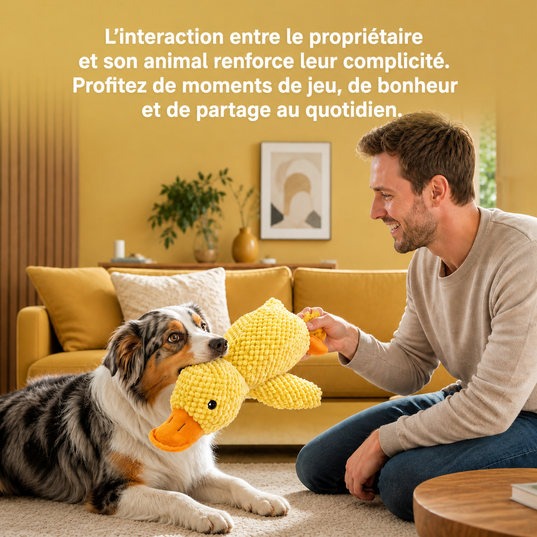 Jouet Apaisant pour chien - Canouf