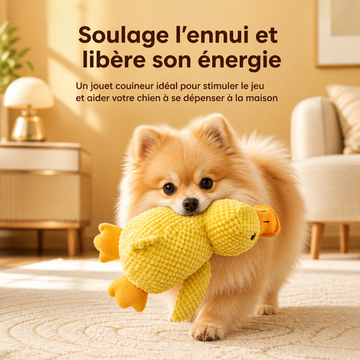Jouet Apaisant pour chien - Canouf