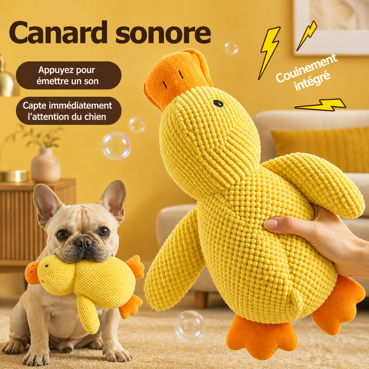 Jouet Apaisant pour chien - Canouf