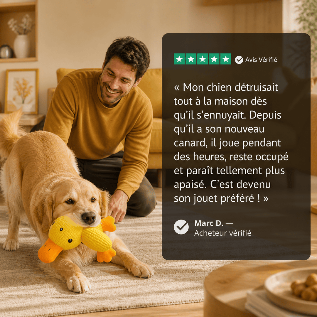 Jouet Apaisant pour chien - Canouf
