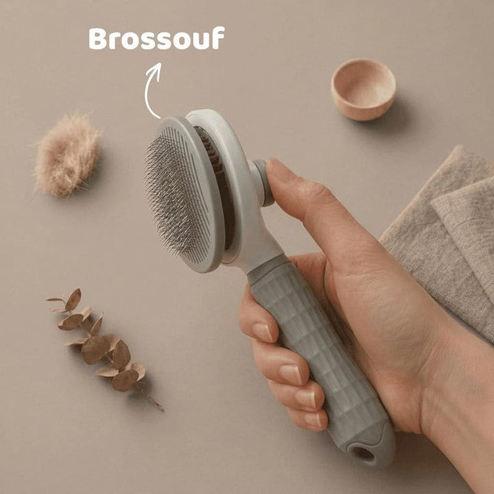 Brosse auto-nettoyante - Brossouf
