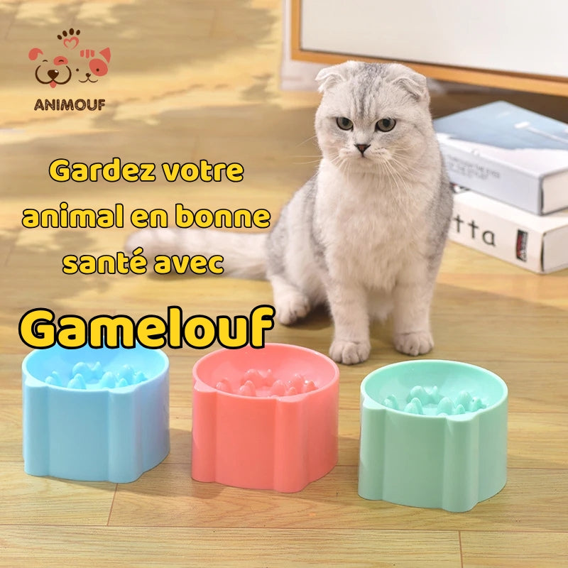 Gamelouf pour chat