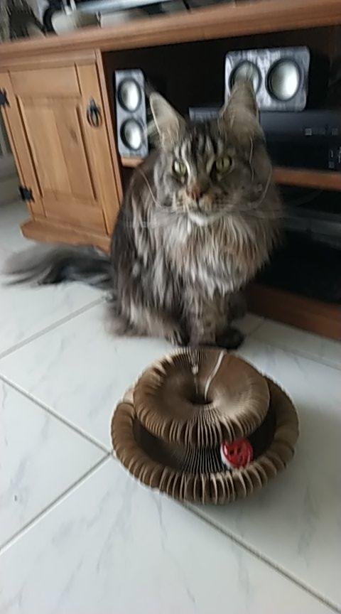 Hugo T., Lille