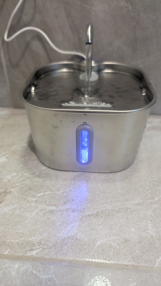 Témoignage Sarah L.