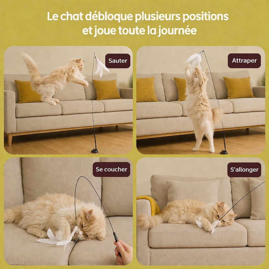 Canne à pêche pour chat