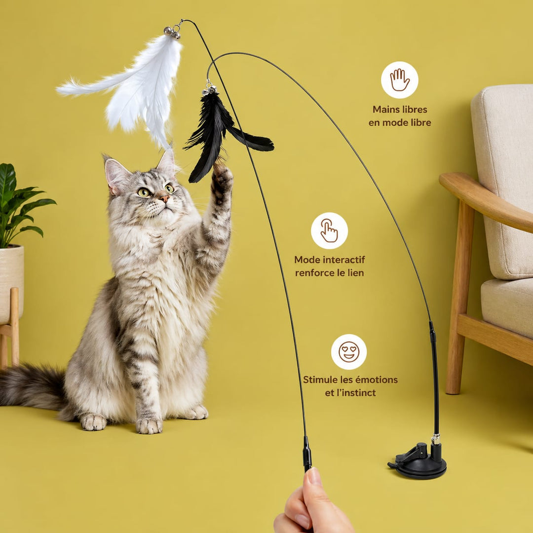 Canne à pêche pour chat
