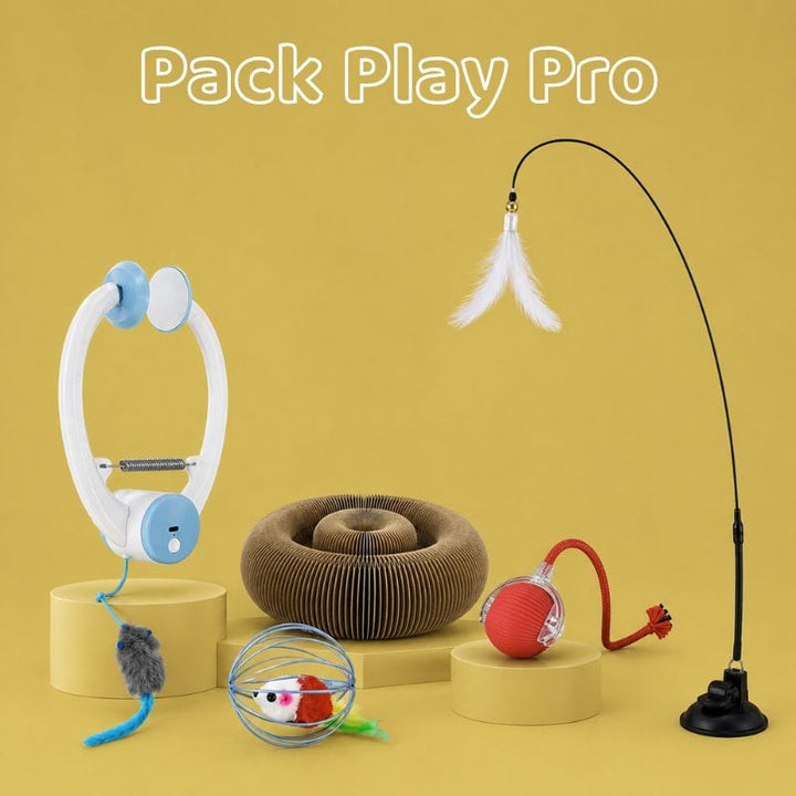 Canne à pêche pour chat