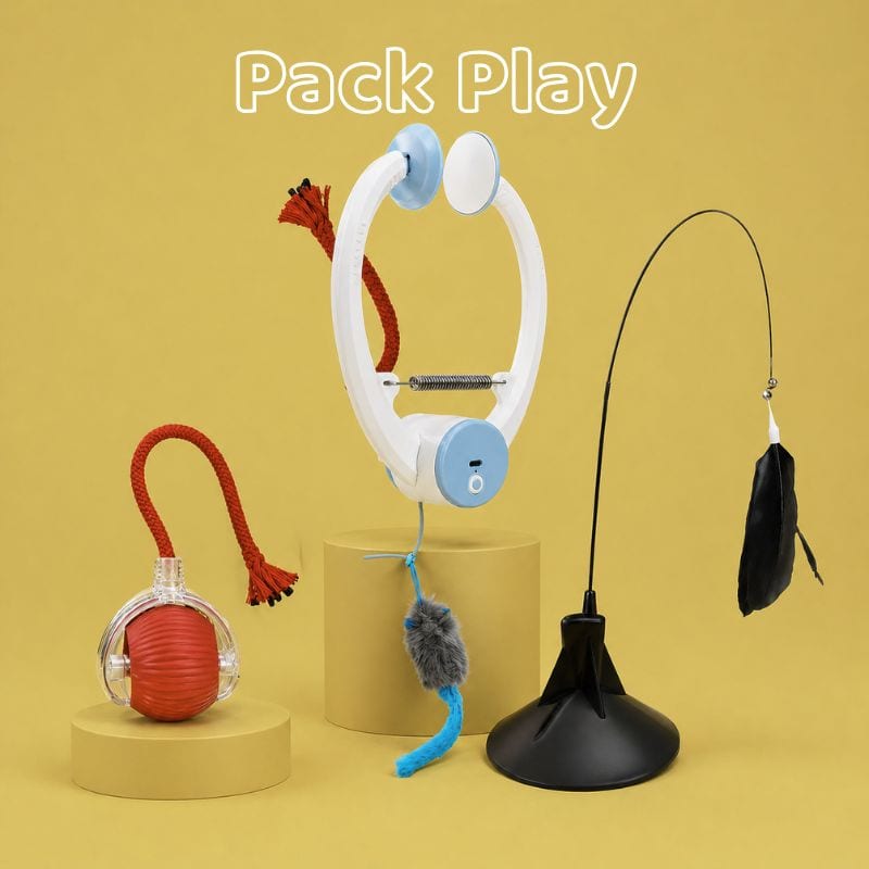 Canne à pêche pour chat