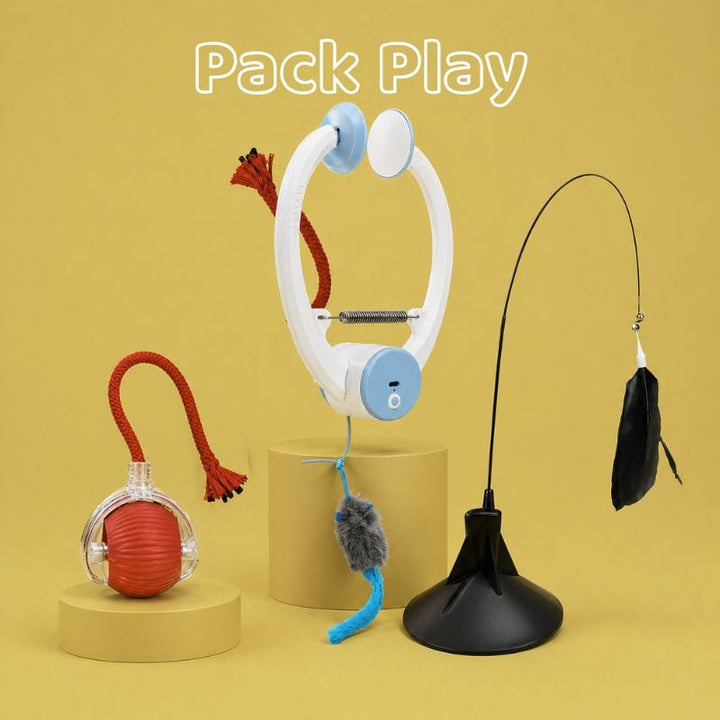 Canne à pêche pour chat