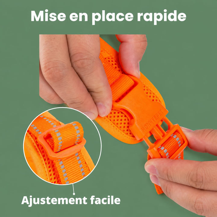 Harnais anti-traction - Harnouf