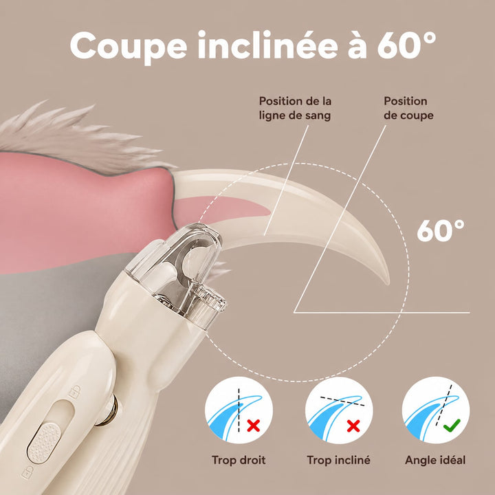 Coupe-Griffes intelligent - Clippouf