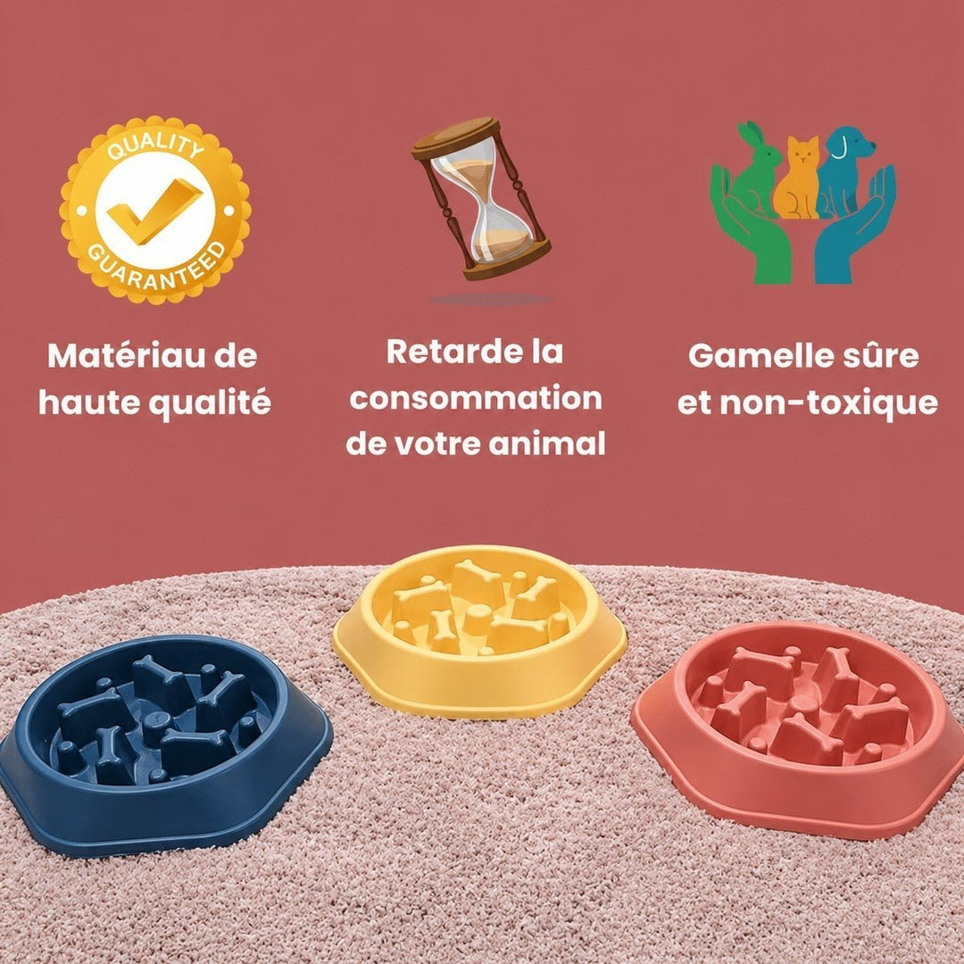 Gamelle Anti-Glouton pour chien - Gamelouf