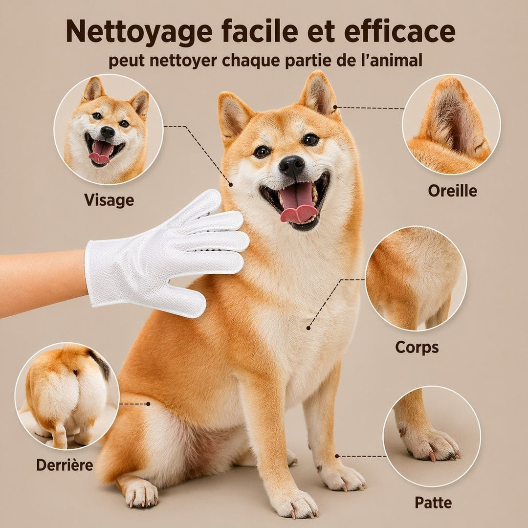 Lot de 6 gants de nettoyage