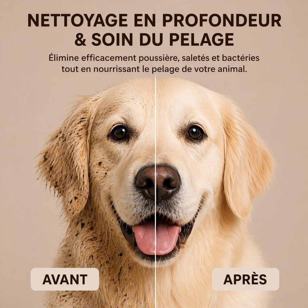 089309D8-1BCB-484F-ACA0-9E94EDAE6C25.png