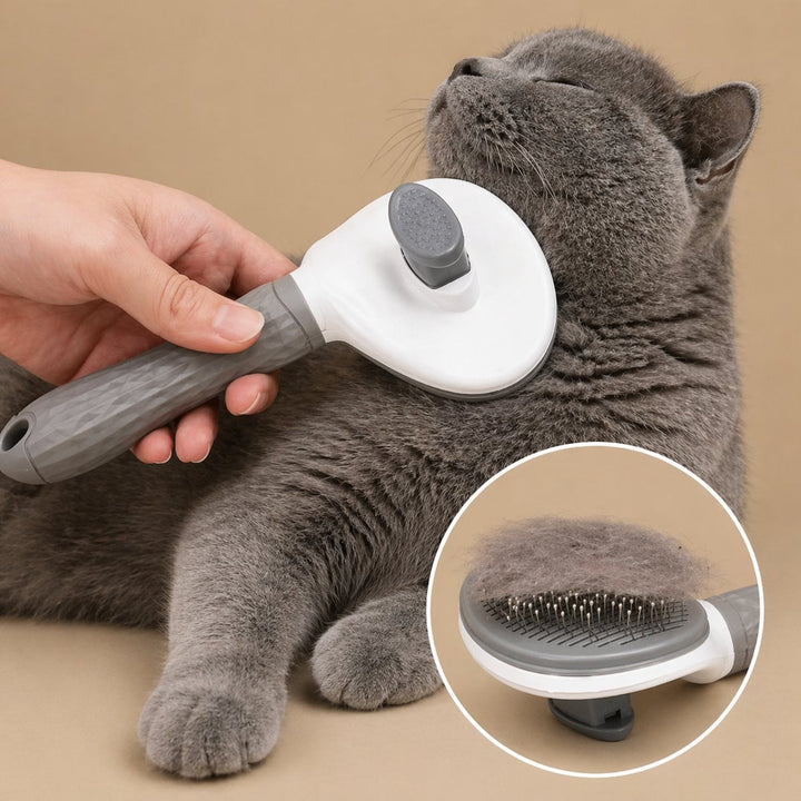 Brosse auto-nettoyante Brossouf