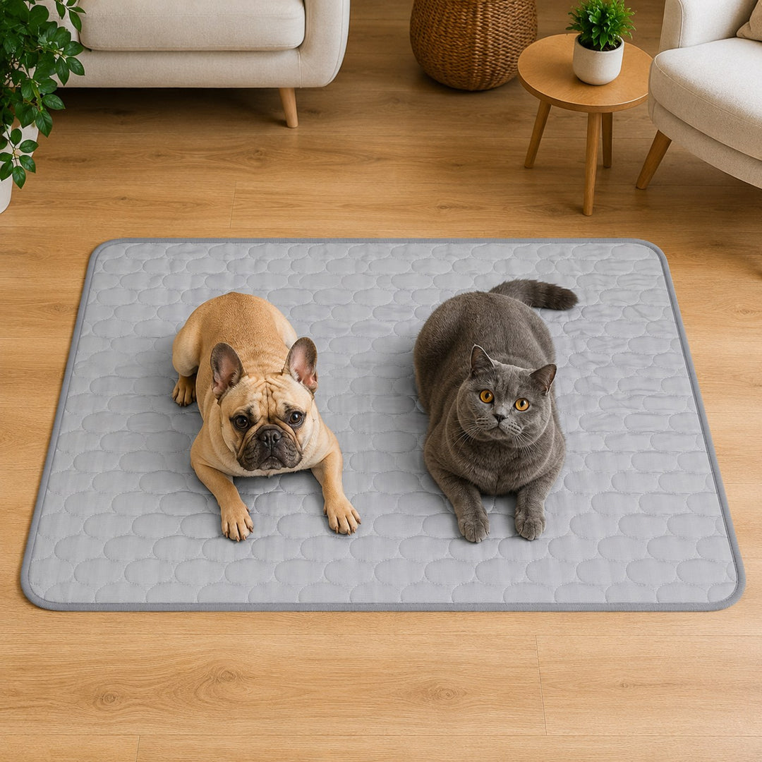 Tapis rafraîchissant - Frimouf